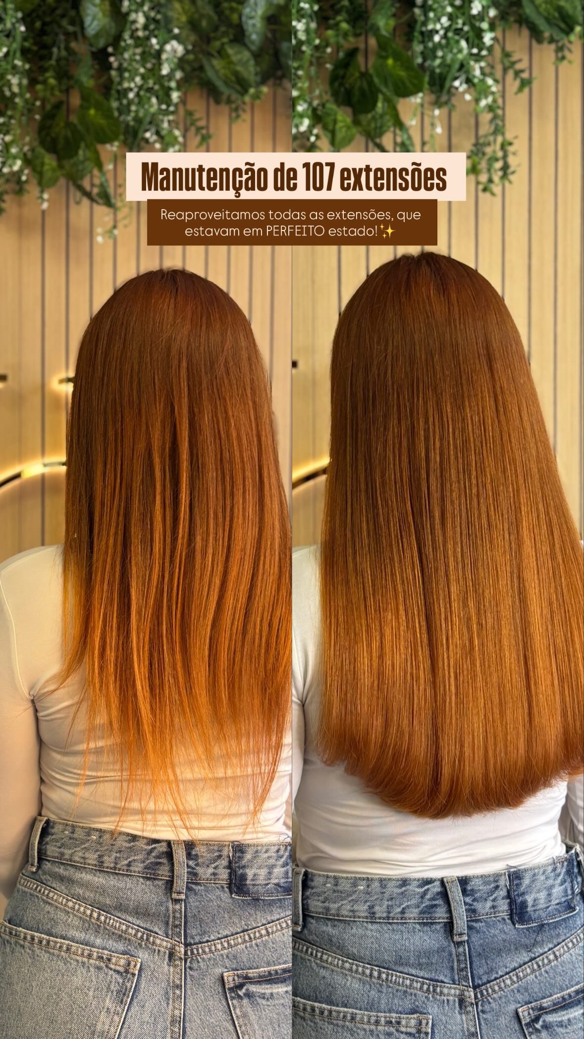 Orçamentos antes e dps 4